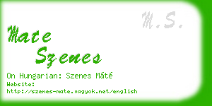 mate szenes business card